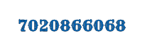 7020866068